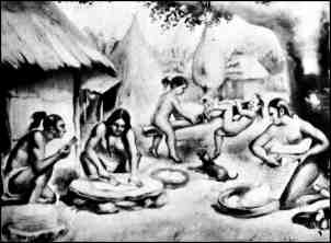 Taino life